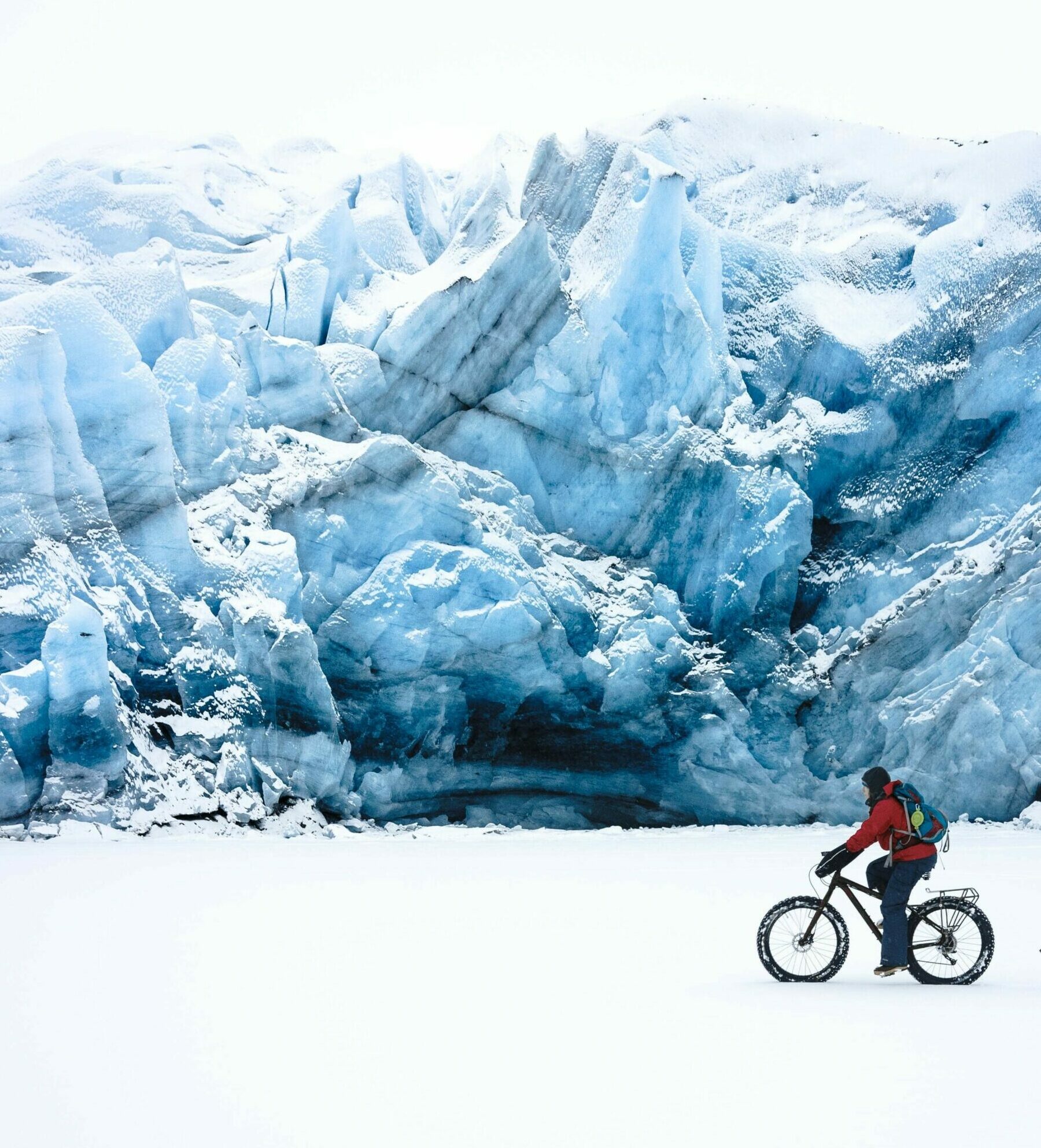 AdobeStock_729832865_cropped_nodog